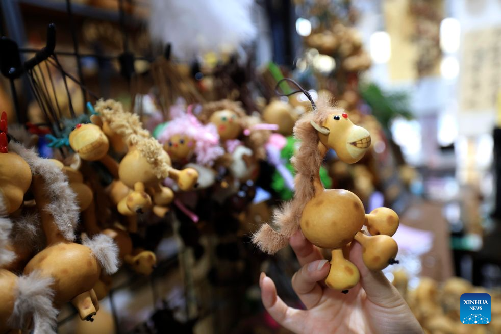 A tourist selects gourd cultural and creative products in Tangyi Town, Liaocheng City of east China's Shandong Province, Sept. 28, 2026. Gourd cultivation and processing is a traditional industry in Tangyi Town of Liaocheng City, east China's Shandong Province. Local government has laid great importance on the development of the industry, regarding it as an impetus in its rural revitalization.
Nowadays, the planting area of gourd here has surpassed 10,000 mu (about 666.67 hectares), and the processing crafts have developed into 10 plus categories. (Xinhua/Yin Gang)