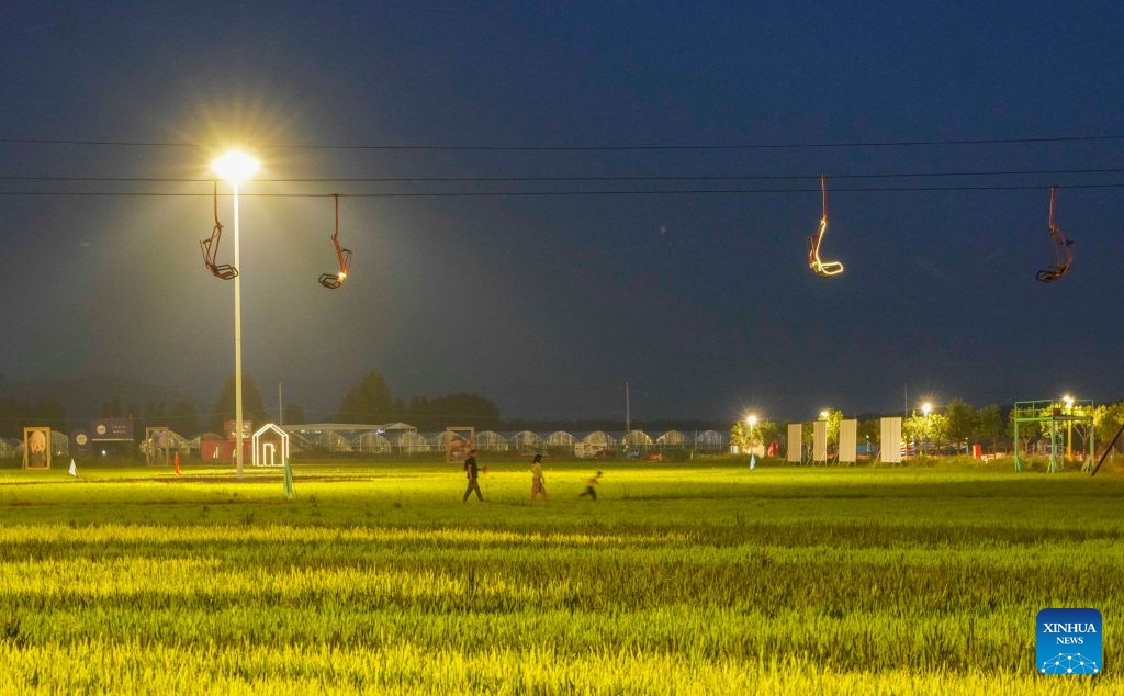 Tourists enjoy themselves at a paddy-field scenic area at night in Shanligezhuang Village of Zunhua, north China's Hebei Province, Aug. 10, 2026. (Photo by Liu Mancang/Xinhua)