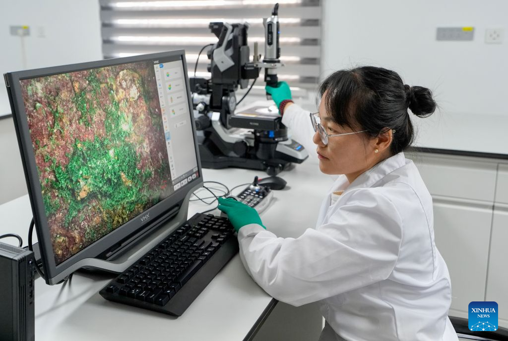A researcher observes a bronze ware specimen via a microscope at the Ningxia Institute of Cultural Relics and Archaeology in Yinchuan, northwest China's Ningxia Hui Autonomous Region, Aug. 10, 2026. (Xinhua/Yang Zhisen)
