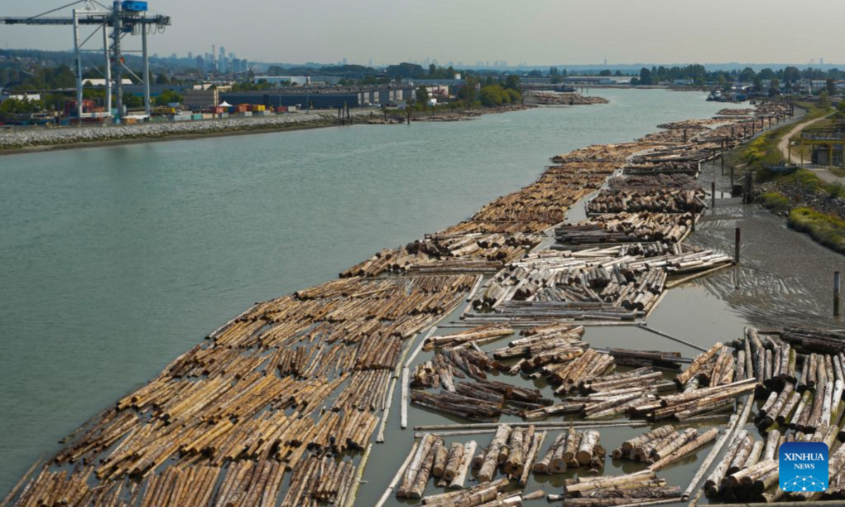 Wood logs are pictured floating in the Fraser River in Vancouver, British Columbia, Canada, Aug. 25, 2026. The Canadian federal government on Tuesday announced retaliatory tariffs on over 700 U.S. goods valued at 27.6 billion Canadian dollars (about 20 billion U.S. dollars), alongside a 7.5-billion-Canadian-dollar assistance package for domestic businesses and workers. (Photo by Liang Sen/Xinhua)