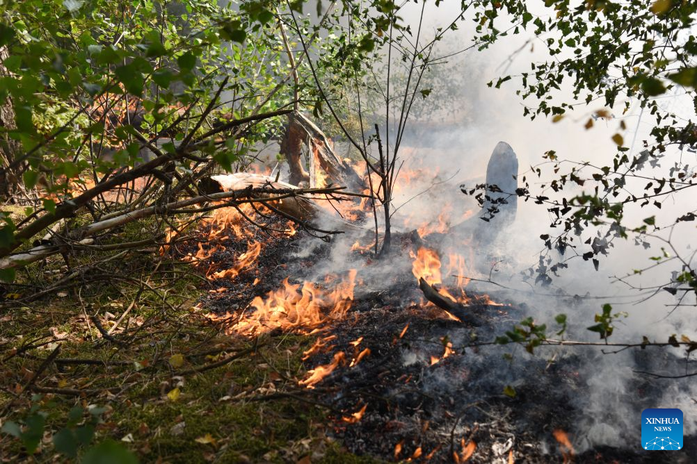 Wildfire is seen in Boschhuizerbergen nature reserve of Venray, the Netherlands, Aug. 6, 2026. (Xinhua/Shao Haijun)