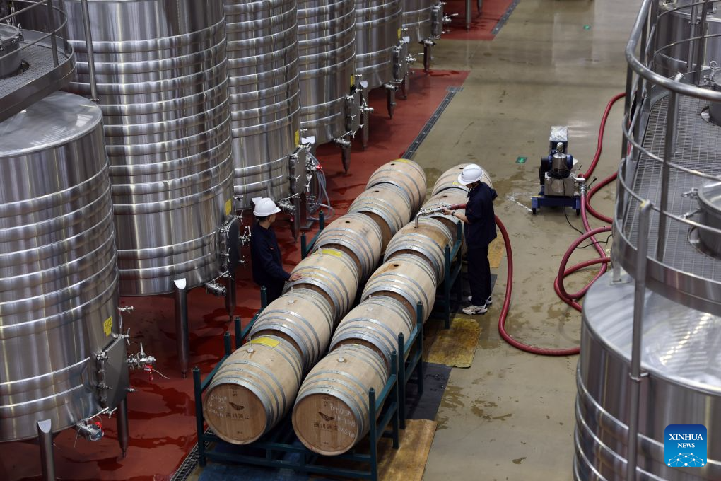 Workers operate at the fermentation workshop of Xige Estate in Qingtongxia, northwest China's Ningxia Hui Autonomous Region, Sept. 23, 2026. With its dry climate and abundant sunshine, Ningxia, particularly the vast area at the eastern foot of Helan Mountain, is widely considered a golden zone for viticulture and premium wine production.

As of 2025, the region's wine grape planting and development area has reached more than 600,000 mu (40,000 hectares). It is home to 261 wine enterprises, including 130 wineries, and its annual wine bottling volume stands at 140 million bottles, which are sold to more than 40 countries and regions.

In recent years, Ningxia's wine industry has built an industrial chain spanning planting, processing, cultural tourism and sales. It receives more than 3.7 million tourist visits annually, generates over 50 billion yuan (about 7.455 billion U.S. dollars) in comprehensive benefits and creates jobs for local residents, injecting vitality into local economic development. (Xinhua/Liu Yun)