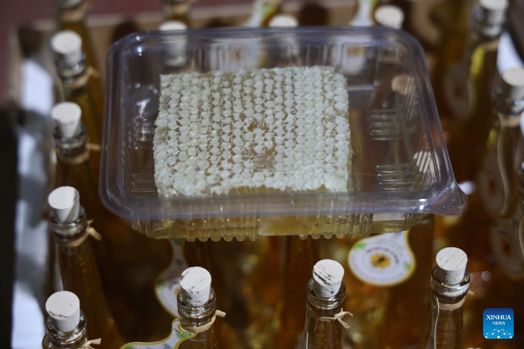 Honey products are displayed at a honey shop in Kfar Chabad near Tel Aviv, Israel, Sept. 8, 2026. Apple slices dipped in honey are traditionally eaten during Rosh Hashanah to symbolize wishes for a sweet new year. Rosh Hashanah, the Jewish New Year, will begin at sunset on Sept. 11. (Photo by Gil Cohen Magen/Xinhua)