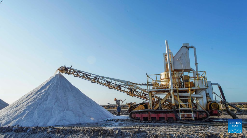 A worker harvests salt at a salt farm in Tangshan City, north China's Hebei Province, Sept. 1, 2026. (Photo by Li Lei/Xinhua)