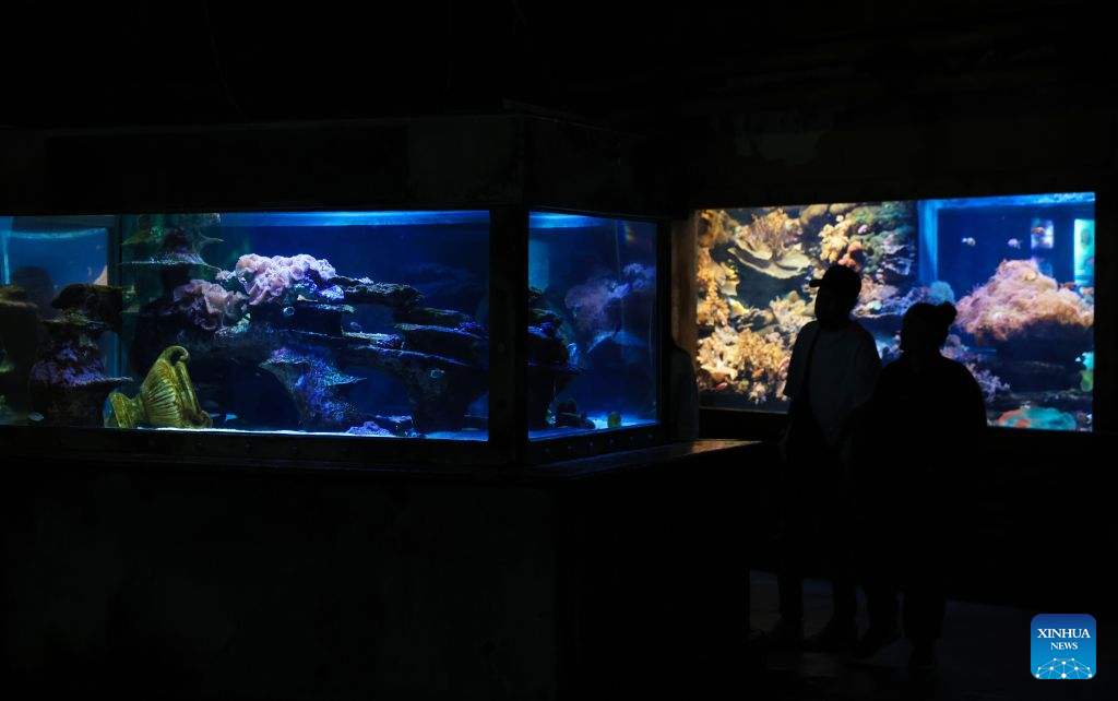 People visit the aquarium at uShaka Marine World in Durban, South Africa, Aug. 16, 2026. Located in Durban, uShaka Marine World is a marine theme park featuring a shipwreck-themed aquarium, marine life exhibits and water attractions. (Xinhua/Chen Wei)