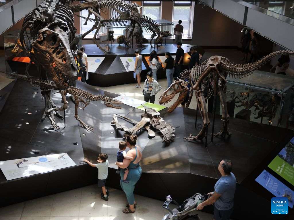 People visit the centerpiece of the Dinosaur Hall at the Natural History Museum of Los Angeles County during the 11th annual Dino Fest in Los Angeles, California, the United States, Aug. 30, 2026. (Photo by Qiu Chen/Xinhua)