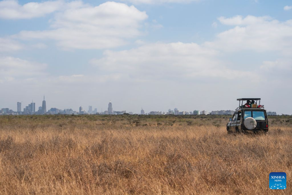 People visit the Nairobi National Park in Nairobi, capital of Kenya, Aug. 11, 2026. (Xinhua/Xie Jianfei)