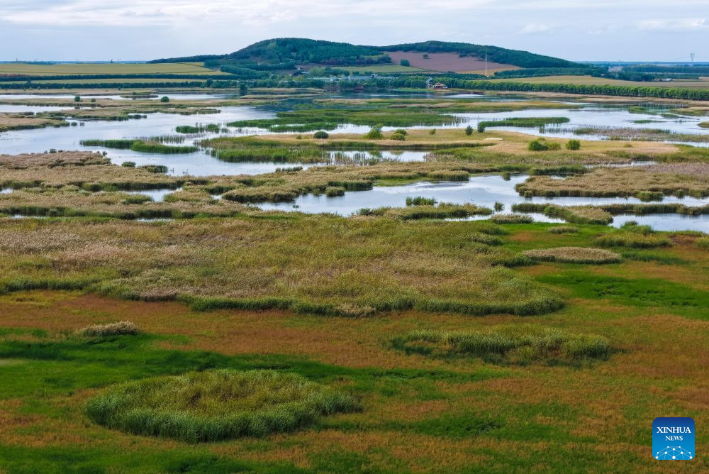 A drone photo taken on Sept. 26, 2026 shows the autumn scenery of Fujin National Wetland Park in Jiamusi City, northeast China's Heilongjiang Province. In autumn, Heilongjiang Province is filled with vibrant colors. Mountains, forests and waters form a picturesque landscape, showcasing the beauty of autumn in northeastern China. (Photo by Geng Xiqing/Xinhua)
