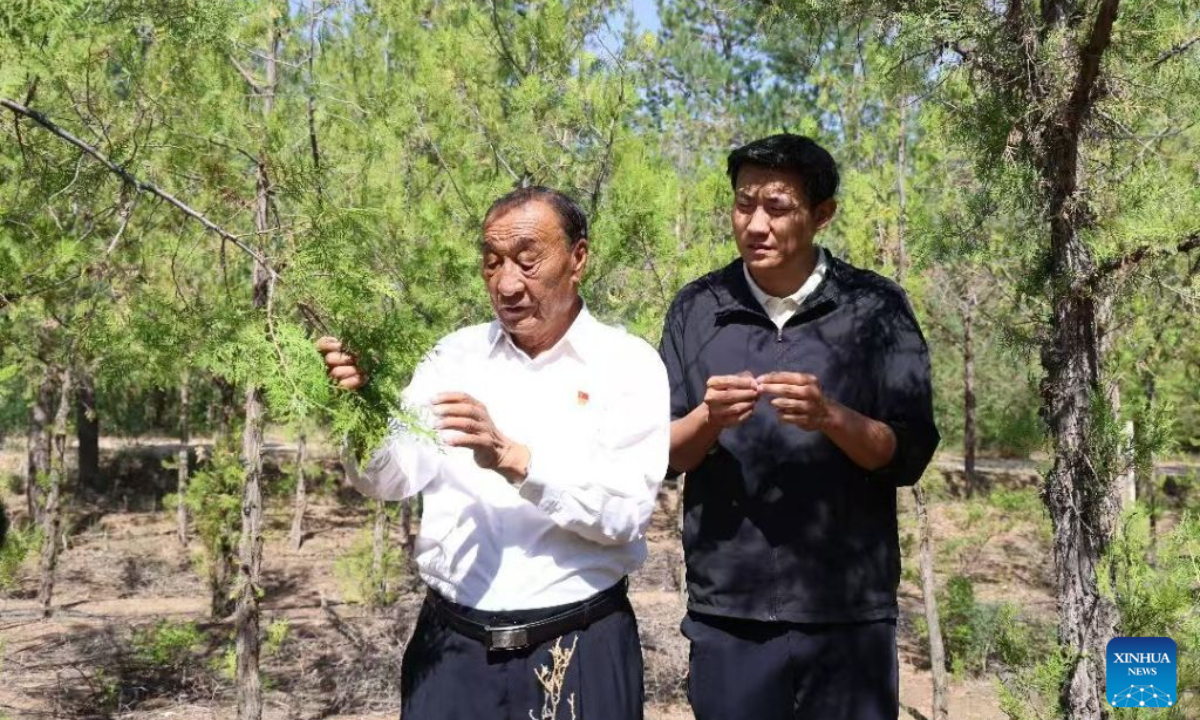 Shi Jianyang (R) and his grandfather check tree growth in a forest area in Dingbian County in Yulin City, northwest China's Shaanxi Province in 2026. (Xinhua)