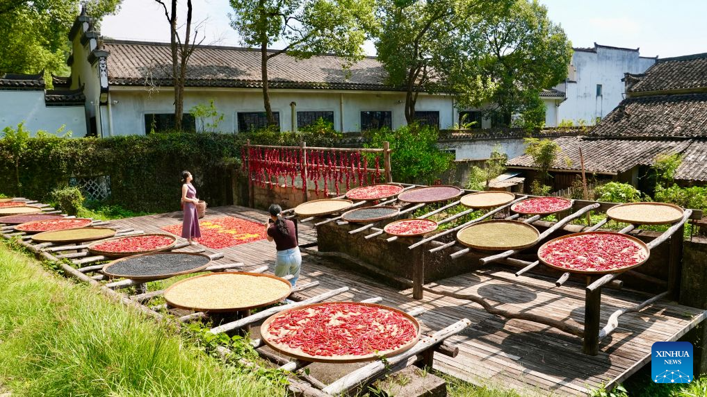 A tourist poses for photos in Jiangwan Village of Wuyuan County, east China's Jiangxi Province, Sept. 15, 2026. In autumn, villagers are busy drying agricultural products in Wuyuan County, and the colorful scene attracts tourists. (Xinhua/Hu Chenhuan)