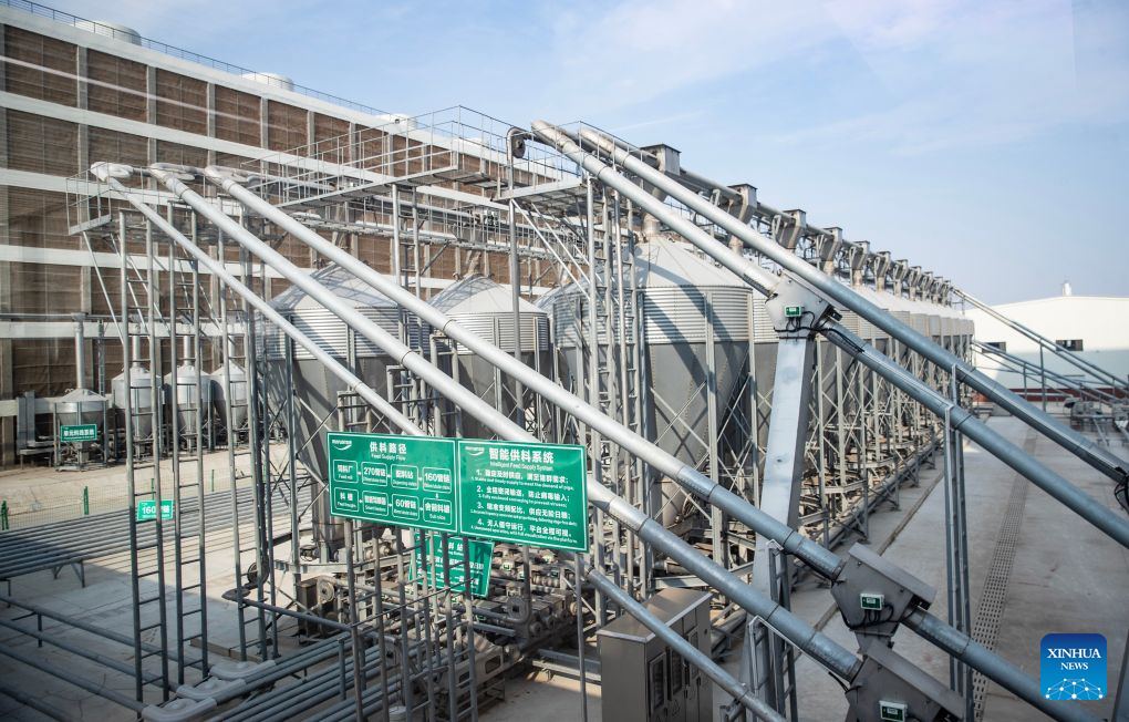 This photo taken on Sept. 7, 2026 shows an intelligent feed supply system at a pig-breeding center in Zhengzhou, central China's Henan Province. The pig-breeding center of Muyuan Foods Group Co., Ltd. covers a total area of 186.67 hectares, including 13 multi-storey pig farms. (Xinhua/Zhang Fan)