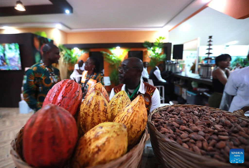 Cocoa pods and cocoa beans are displayed at an exhibition booth of the 10th National Cocoa and Chocolate Days in Abidjan, Cote d'Ivoire, on Sept. 1, 2026.
The event kicked off here on Tuesday. Under the theme Youth and the Cocoa Farming of the Future, the three-day event features a wide range of cocoa and chocolate products, and provides a platform for discussions on youth participation, local cocoa processing, technological innovation and the sustainable development of the sector. It brings together people from various segments of the cocoa industry, including cocoa farming, processing, exports and chocolate production to participate.
Cocoa is one of Cote d'Ivoire's most important cash crops and a key pillar of its agricultural and export economy. (Photo by Yvan Sonh/Xinhua)