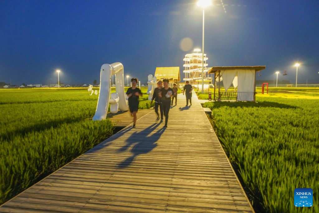 Tourists enjoy themselves at a paddy-field scenic area at night in Shanligezhuang Village of Zunhua, north China's Hebei Province, Aug. 10, 2026. (Photo by Liu Mancang/Xinhua)