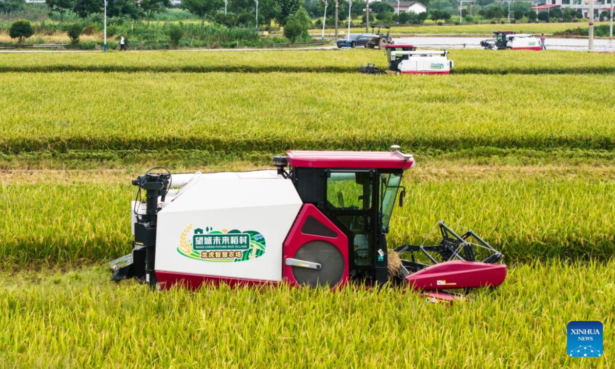 An aerial drone photo taken on June 22, 2026 shows unmanned harvesters operating in a rice field at a smart farm in Xiangjiang Village, Changsha City, central China's Hunan Province. Local farmers here are deploying various types of modern agricultural machinery and equipment during the summer harvest and planting season. (Xinhua/Chen Sihan)