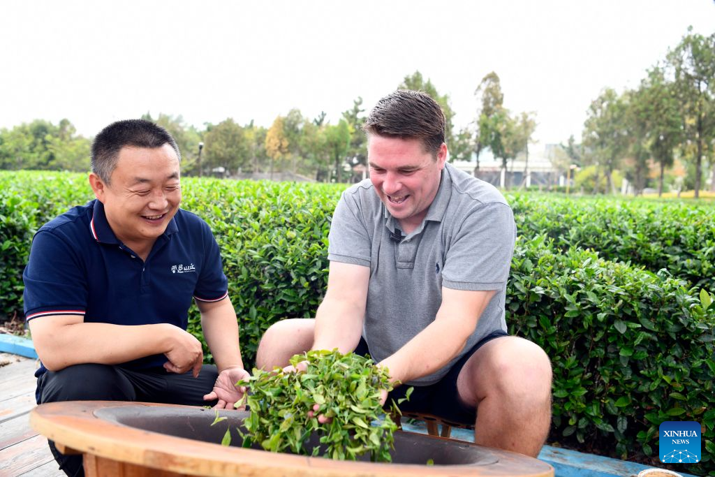 Ryan Norman (R) experiences roasting tea leaves at a tea culture and tourism park in Rizhao, east China's Shandong Province, Sept. 24, 2026. (Xinhua/Guo Xulei)