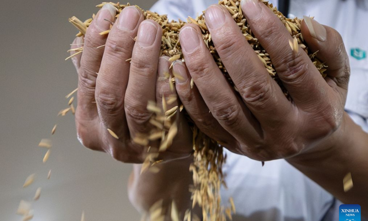 A staff member works at a grain storage facility under Sinograin in Xiantao City, central China's Hubei Province, Sept. 10, 2026. As early autumn sets in, farmers are busy with farm work in Hubei, one of China's leading provinces in terms of agricultural output. (Xinhua/Xiao Yijiu)
