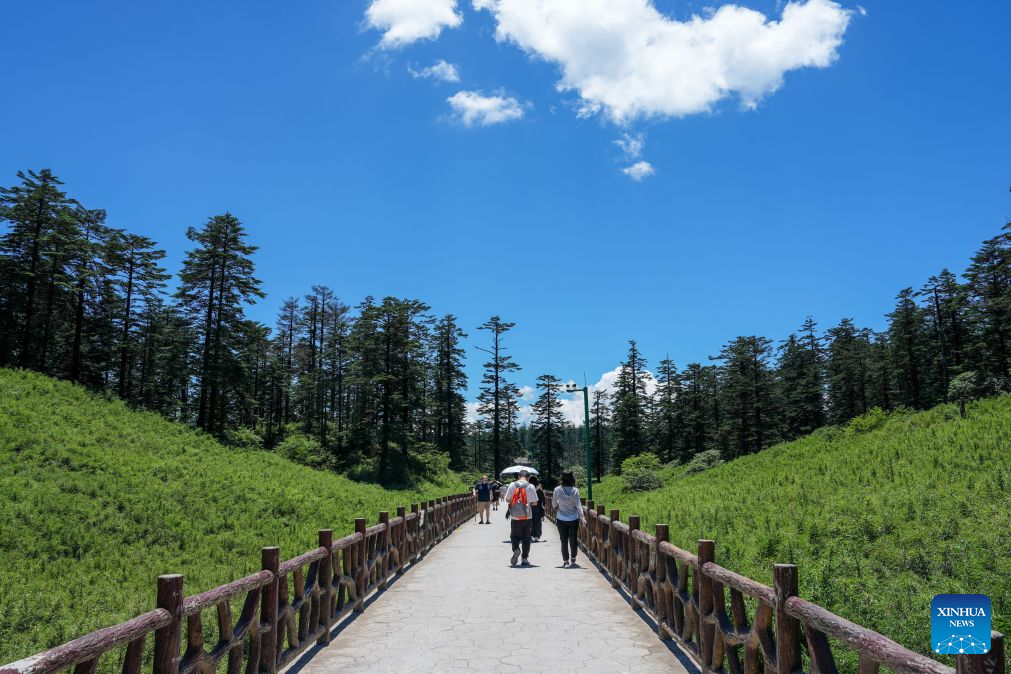 Tourists visit the Wawu Mountain in Hongya County, southwest China's Sichuan Province, July 19, 2026. Known for its distinctive table-mountain landform, Wawu Mountain features a summit plateau covering about 11 square kilometers, making it a popular tourist destination. (Xinhua/Xu Bingjie)