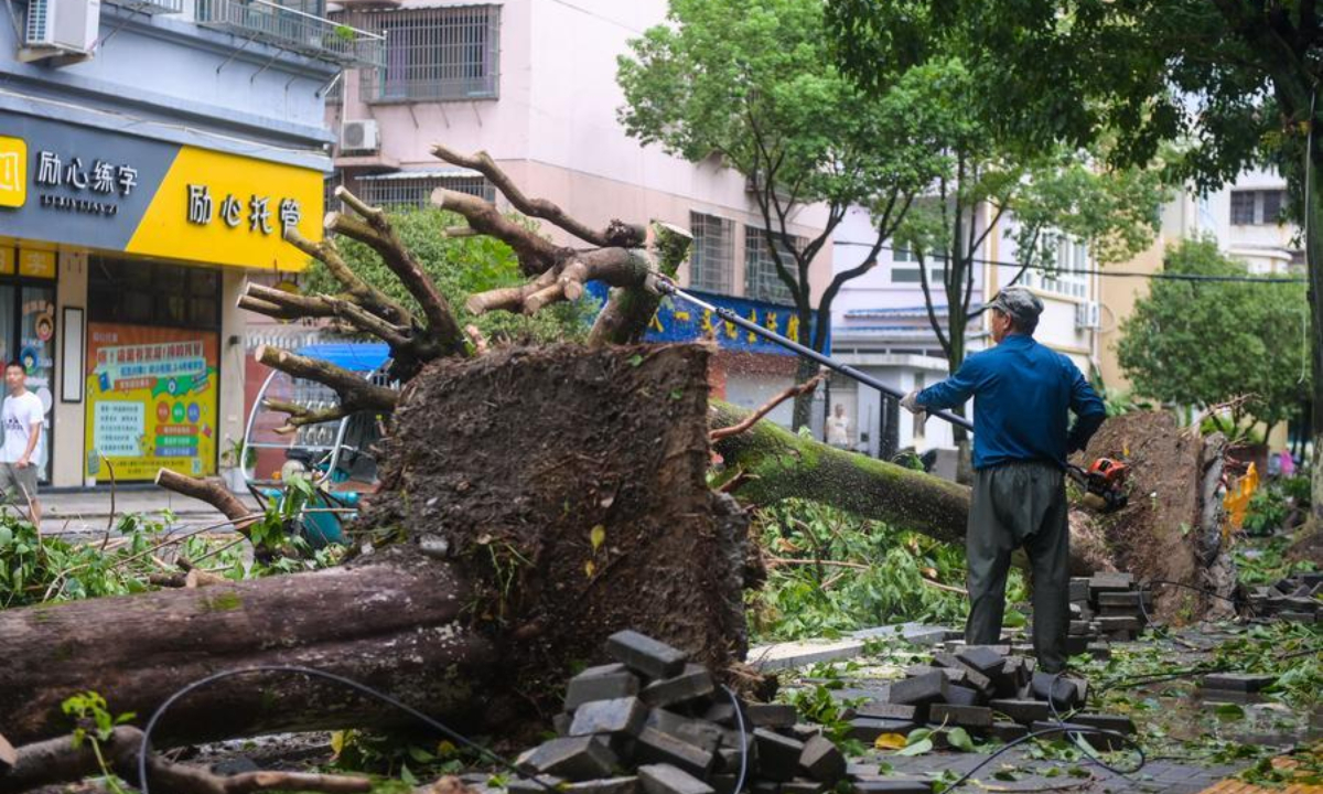 A worker clears fallen trees toppled by Typhoon Dolphin on a street of Yongjia County in Wenzhou, east China's Zhejiang Province, Aug. 10, 2026. (Xinhua/Jiang Han)