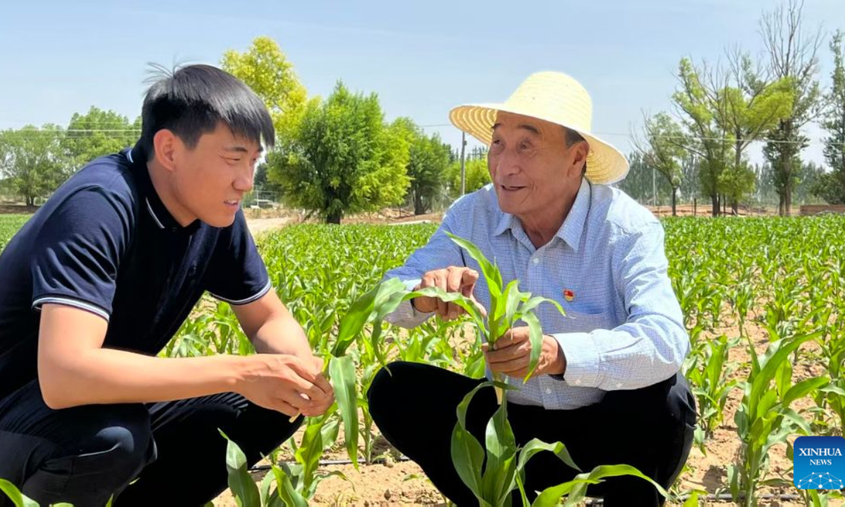 Shi Jianyang (L) and his grandfather check the growth of crops on a farmland near a forest area along the Maowusu Desert in northwest China's Shaanxi Province in 2026.(Xinhua)