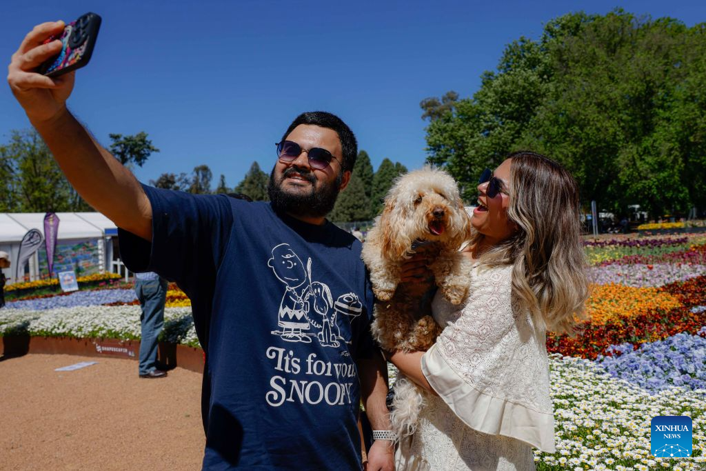 People take selfies with a dog at Dogs' Day Out event during the Floriade flower festival in Canberra, Australia, on Oct. 11, 2026.
The Floriade flower festival here held its Dogs' Day Out event on Sunday, marking the conclusion of this year's spring welcoming festivity. (Photo by Chu Chen/Xinhua)