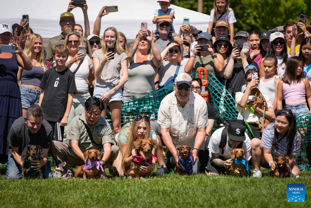 Spectators watch dachshunds compete during the BC Fast & Furriest Races at Town Centre Park in Coquitlam, British Columbia, Canada, on Aug. 3, 2026. (Photo by Liang Sen/Xinhua)