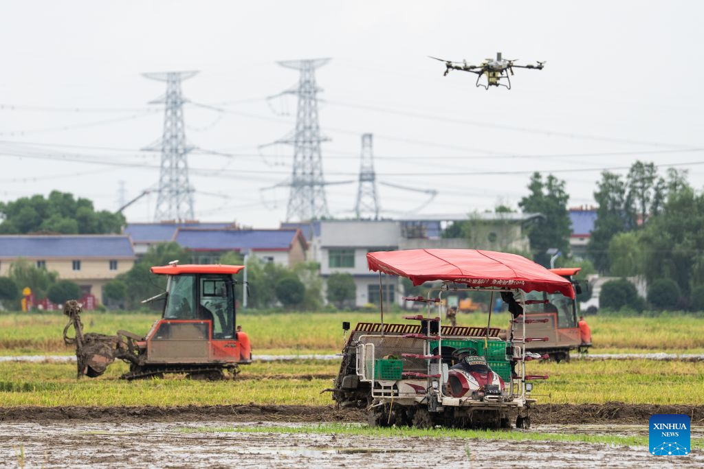 An aerial drone photo taken on June 22, 2026 shows unmanned machines coordinating with an agricultural drone at a smart farm in Xiangjiang Village, Changsha City, central China's Hunan Province. Local farmers here are deploying various types of modern agricultural machinery and equipment during the summer harvest and planting season. (Xinhua/Chen Sihan)