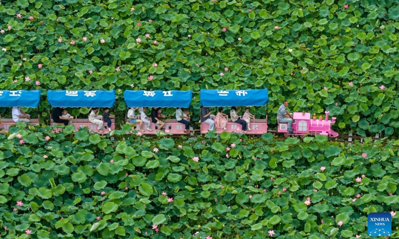 An aerial drone photo taken on June 21, 2026 shows tourists taking a train for sightseeing amid lotus flowers at Wangxiang Village of Liangnong Town, Yuyao, east China's Zhejiang Province. People enjoyed the three-day holiday of the Dragon Boat Festival, also called Duanwu Festival, which falls on June 19 this year, via various activities across the country. (Photo: Xinhua)