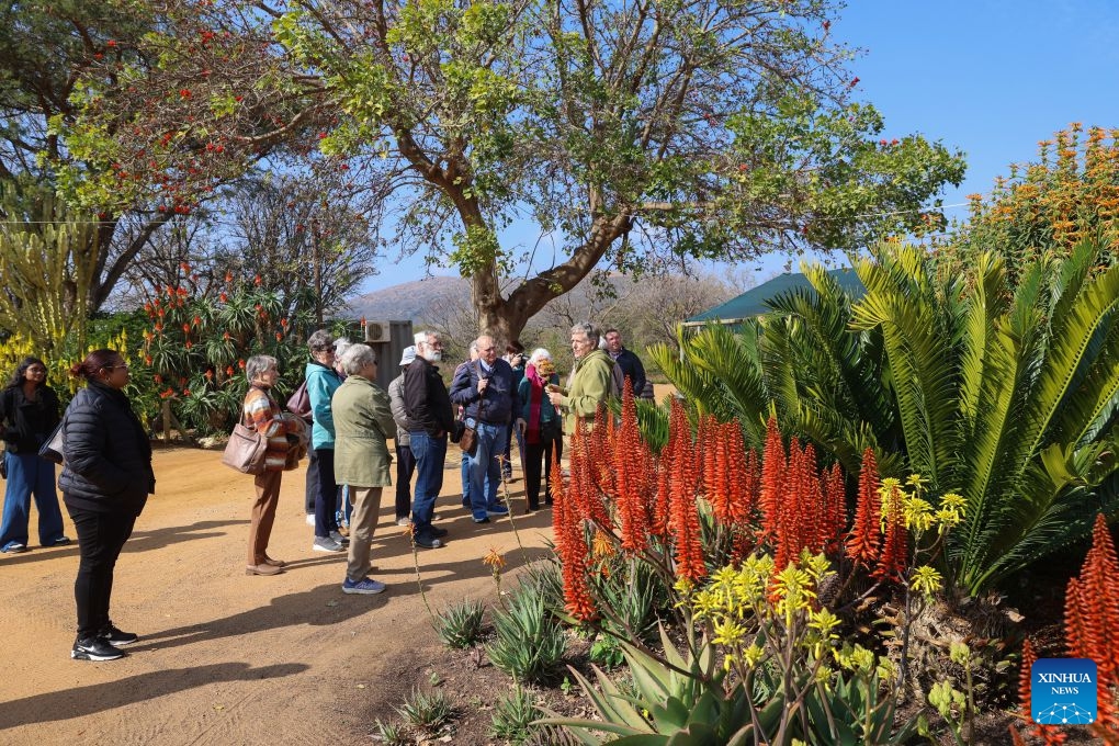 People view aloe plants during the Aloe festival in North West Province, South Africa, June 23, 2026. The festival is held here from June 20 to July 7. (Photo: Xinhua)