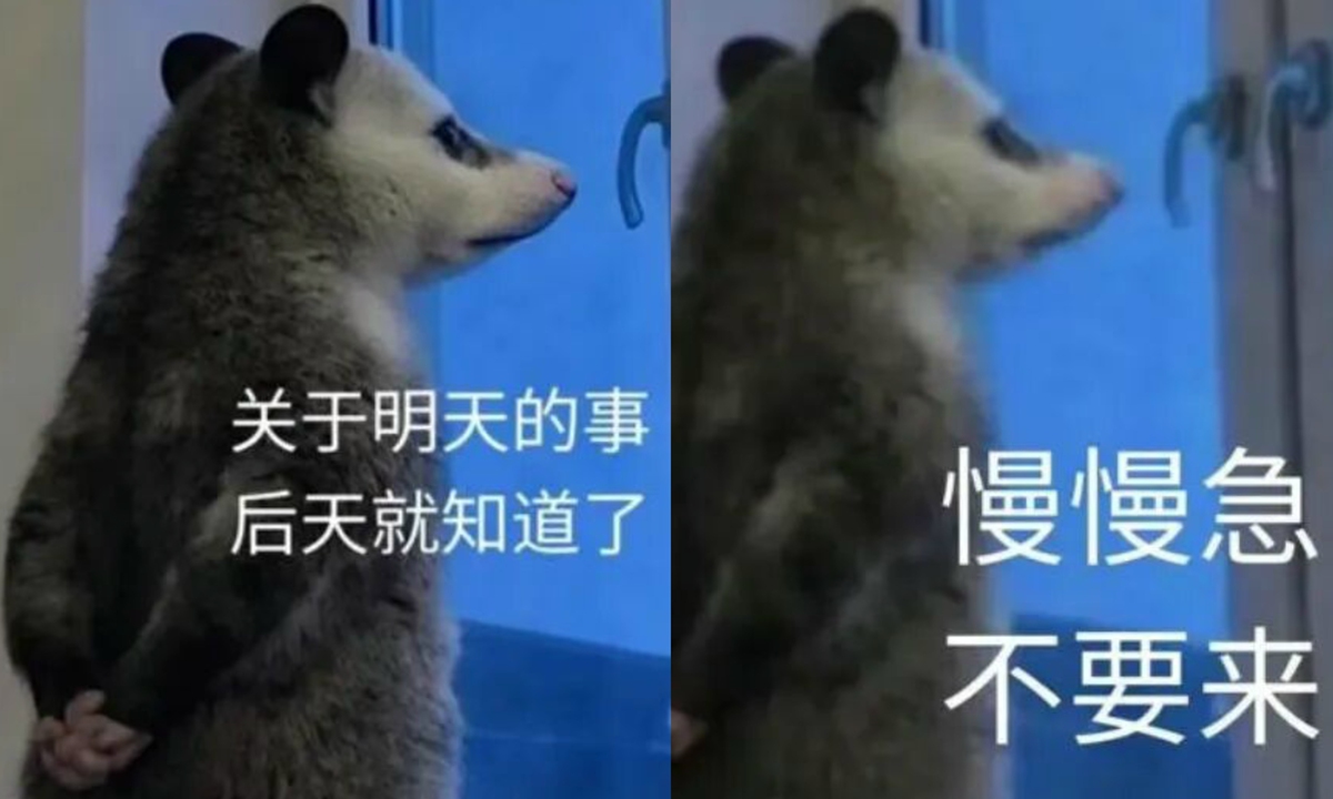 Opossum memes Photos: Screenshots from internet