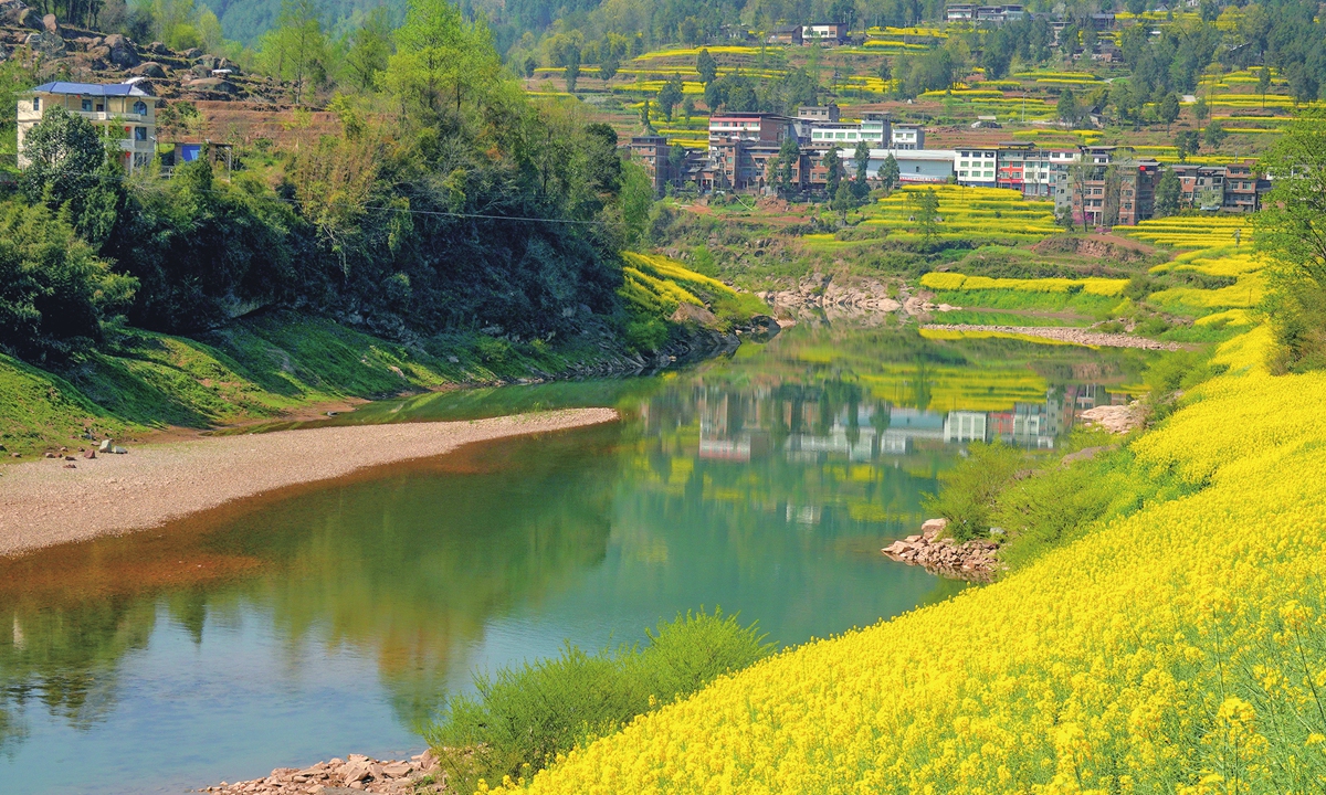 Rapeseed flowers in full bloom in Liyuanba village, Tongjiang county, Southwest China's Sichuan Province. Photo:VCG