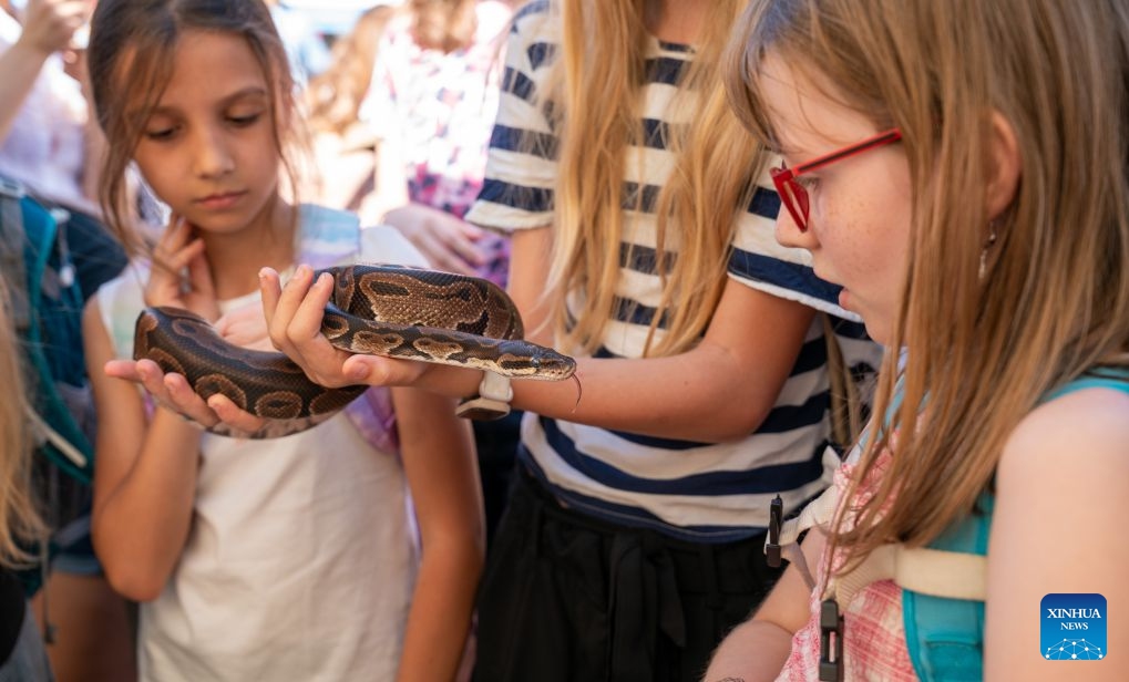 Children observe a snake at Veda Fest 2026 in Prague, the Czech Republic, June 24, 2026. Veda Fest, one of the Czech Republic's largest open-air science festivals, was held on Wednesday. (Photo: Xinhua)