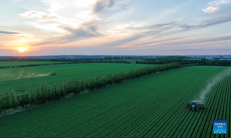 A drone photo taken on June 19, 2026 shows an agricultural machine working at a corn field of Beidahuang Group in northeast China's Heilongjiang Province. The province's 257.9 million mu (17.19 million hectares) of arable land features 156 million mu (10.4 million hectares) of black soil, representing 56.1 percent of the total black soil in northeast China. In 2025, the grain output in Heilongjiang reached about 82 million tonnes, ranking first nationwide for 16 consecutive years. (Photo: Xinhua)