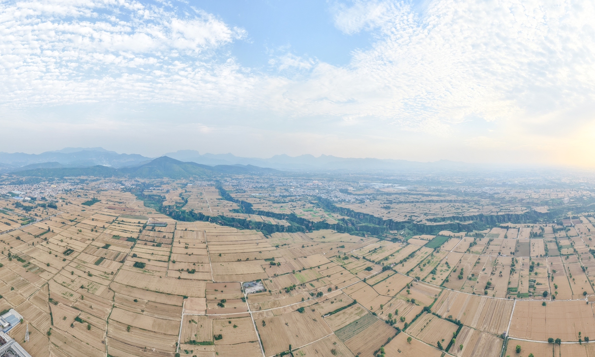 A golden wheat field is seen during the harvest season in Lankao, Central China's Henan Province, on June 2, 2026. Photo: VCG