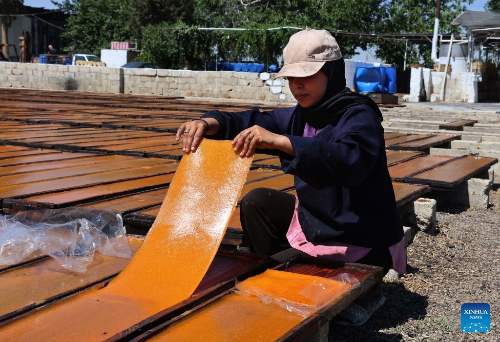 A Syrian worker collects Qamar al-Din, a traditional apricot-made sweet, at a workshop in the countryside of Damascus, Syria, on June 25, 2026. Made during the apricot harvest season, Qamar al-Din is produced by washing and pressing fresh apricots before spreading the fruit puree onto wooden boards to dry naturally under the sun, a traditional process that has been practiced in Syria for generations. (Photo: Xinhua)