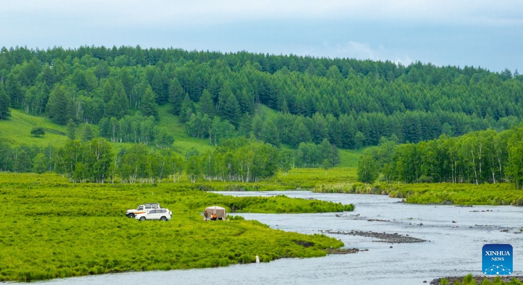 A drone photo taken on June 27, 2026 shows tourists camping inside the Arxan National Forest Park, Hinggan League, north China's Inner Mongolia Autonomous Region. (Xinhua/Bei He)

