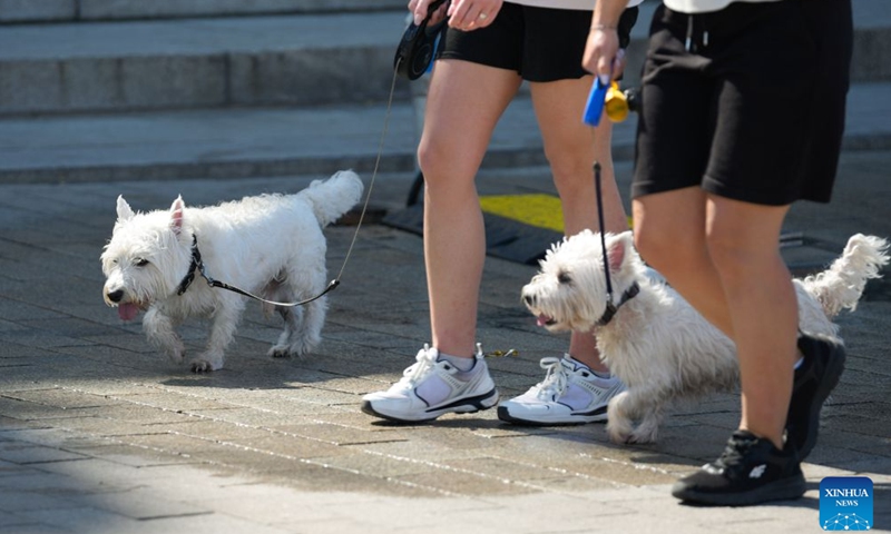 Two dogs pant in the heat as they are walked along a street in Warsaw, Poland, June 27, 2026. Poland's Institute of Meteorology and Water Management has issued its highest, third-level heat warnings from Saturday morning to Monday evening.

