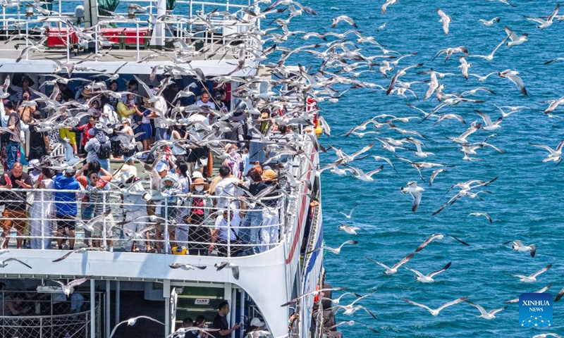 A drone photo shows people taking a ferry for sightseeing in Rongcheng City, east China's Shandong Province, June 28, 2026. (Photo by Li Xinjun/Xinhua)

