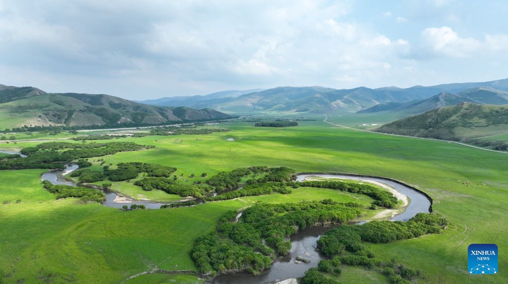 An aerial drone photo taken on June 28, 2026 shows a view of the Wulanmaodu pasture in Horqin Right Wing Front Banner, Hinggan League, north China's Inner Mongolia Autonomous Region. (Xinhua/Bei He)

