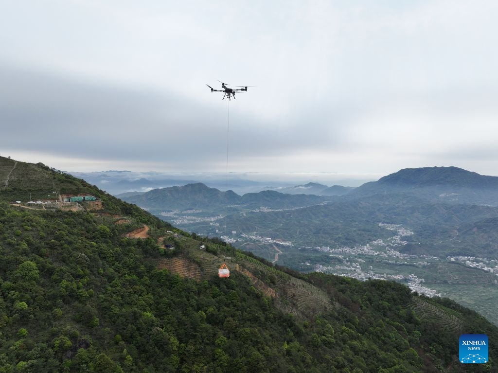 An agricultural drone hoists freshly harvested tea leaves over a tea garden in Fenghuang Town in Chaozhou City, south China's Guangdong Province, April 17, 2026. XAG, founded in 2007, is committed to empowering agriculture with robotics, artificial intelligence and new energy technologies. (Photo: Xinhua)