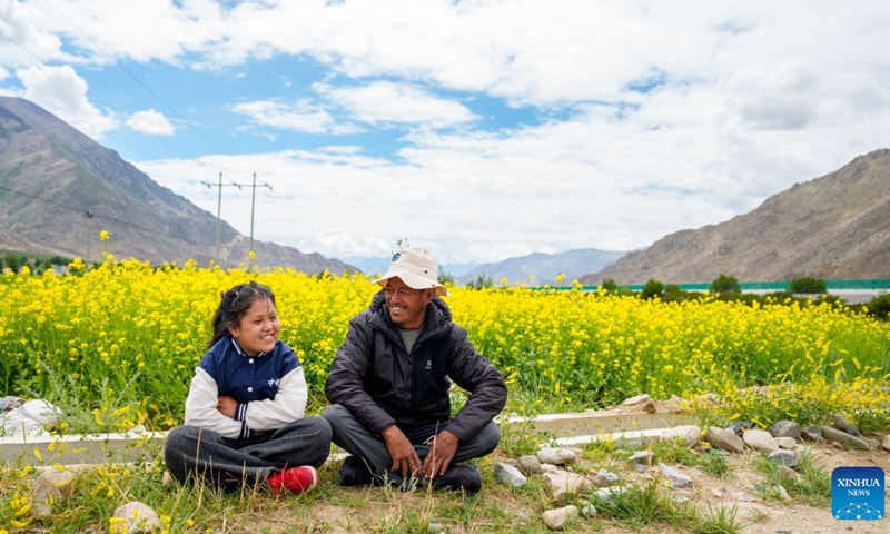 Pasang Tsering talks with his daughter by cole flower blossoms in Gurum Township of Lhasa, southwest China's Xizang Autonomous Region, June 20, 2026. In 2008, Xinhua photographer Sonam Norbu captured a moment marking the intersection of traditional farming and modern transportation. In the image, Pasang Tsering, a Tibetan farmer in Gurum Township of Lhasa, was plowing a field with yaks while a train on the Qinghai-Xizang Railway passed behind him. The journalist shows me the photo right after he took it. I learned it was published in the newspaper later, Pasang Tsering recalled. (Photo: Xinhua)