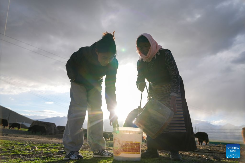 Nyima Lhamo (L) and her mother Pema Lhamo feed livestock in Damxung County of Lhasa, southwest China's Xizang Autonomous Region, May 28, 2026. (Xinhua/Jigme Dorje)
