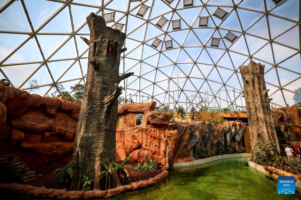 This photo taken on June 30, 2026 shows the interior view of the Biodome at the Budapest Zoo and Botanical Garden in Budapest, Hungary. The Budapest Zoo and Botanical Garden on Tuesday inaugurated its long-awaited Biodome, an indoor tropical exhibition dubbed the Urban Oasis. (Photo by David Balogh/Xinhua)