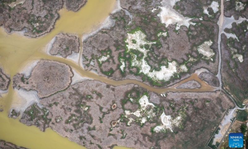 An aerial drone photo taken on July 1, 2026 shows a view of Lake Velence near Pakozd, Hungary. Due to weeks of scorching temperatures and years of dry weather, Lake Velence near Pakozd, Hungary is experiencing a severe drought. The lake's water level has dropped to 47 centimeters, the lowest level ever recorded. (Photo: Xinhua)