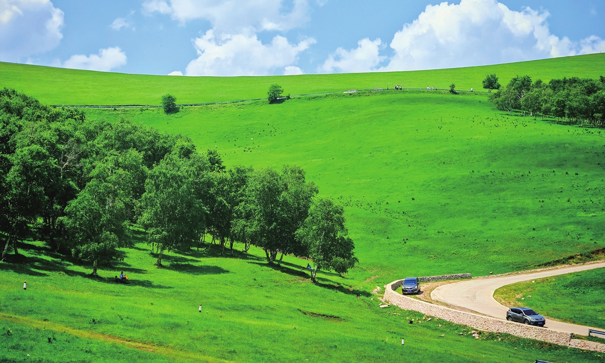 The beautiful grasslands of Fengning Bashang, North China's Hebei Province Photo: VCG