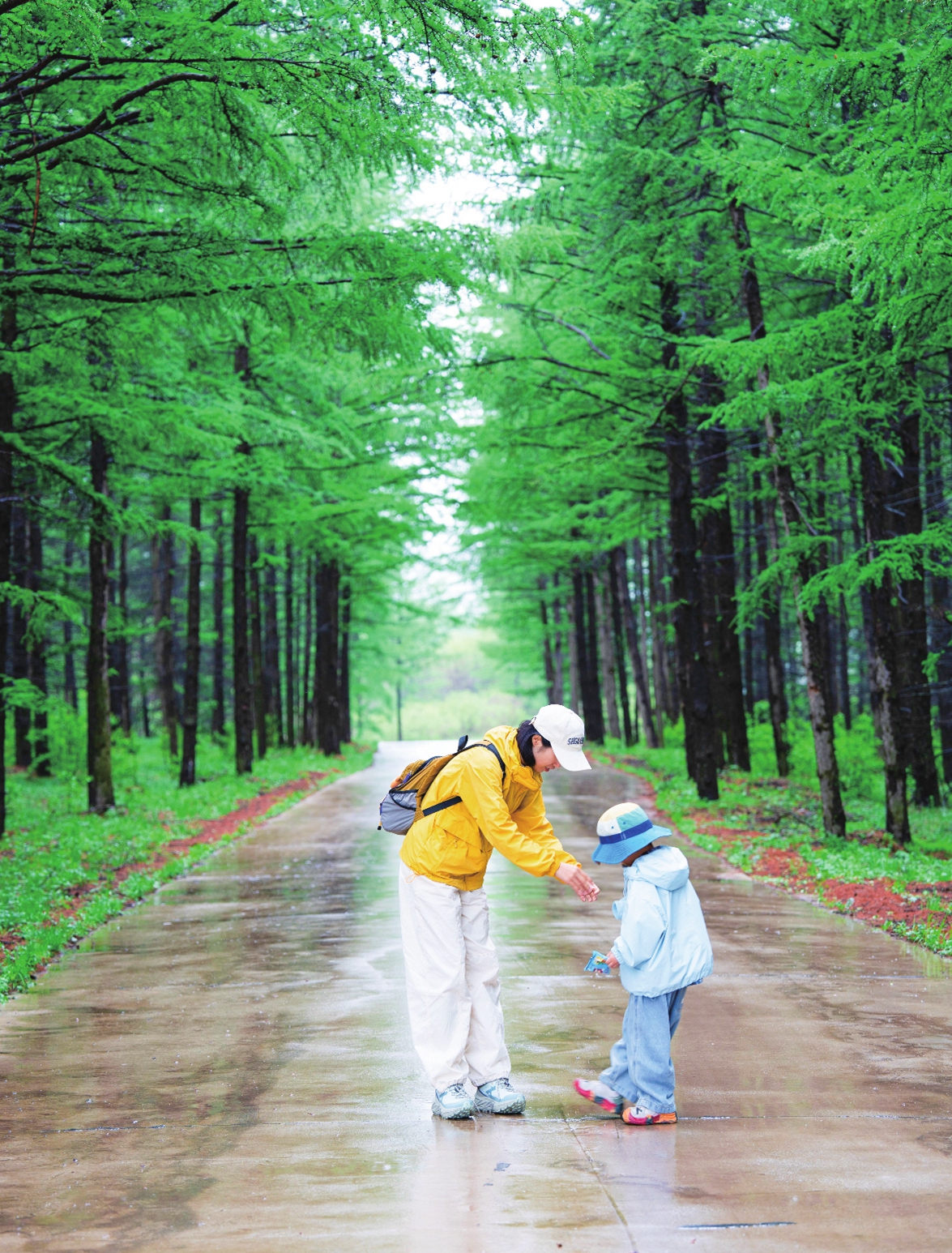 You Xiang, a tourist from Beijing, and her child visit the Qiansongba forest farm in the Fengning Manchu autonomous county, North China's Hebei Province, on June 20, 2026. Photo: Courtesy of You Xiang