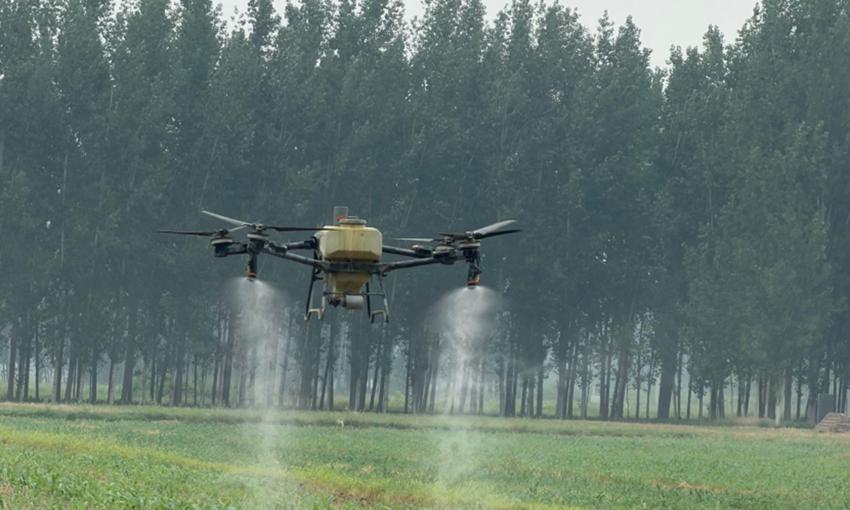 Agricultural drones spray wheat seedlings in Dongyujia village, Shandong, on April 2, 2026. The mixed solution includes insecticides, fungicides, and plant growth regulators to support healthy crop growth. Photo: Courtesy of Dongyujia village