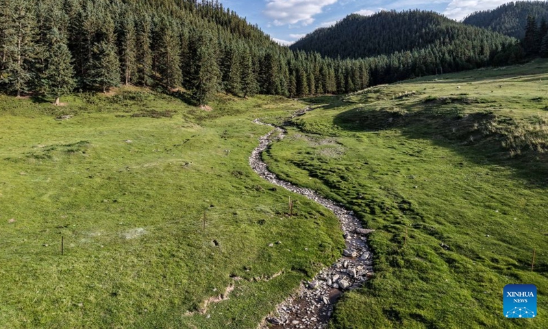 An aerial drone photo taken on July 5, 2026 shows a view of the Qilian Mountains in Sunan Yugur Autonomous County of Zhangye, northwest China's Gansu Province. (Xinhua/Lang Bingbing)

