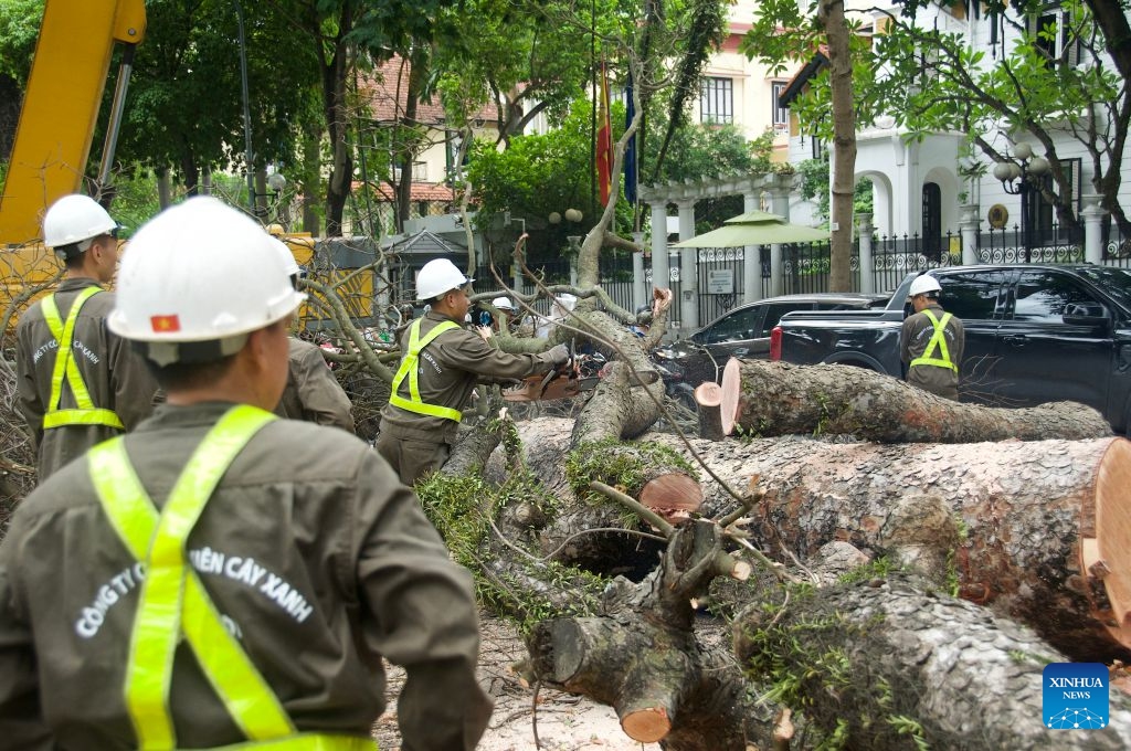 Workers clear up tree branches in Hanoi, Vietnam, July 6, 2026. Authorities in Vietnam's capital, Hanoi, have deployed workers to clear tree branches in response to Typhoon Maysak. (Photo: Xinhua)