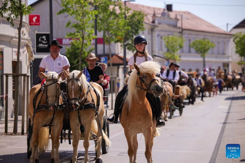 Participants drive horse-drawn wagons during the 33rd Traditional Carters' Festival in Postojna, Slovenia, July 5, 2026. (Photo: Xinhua)