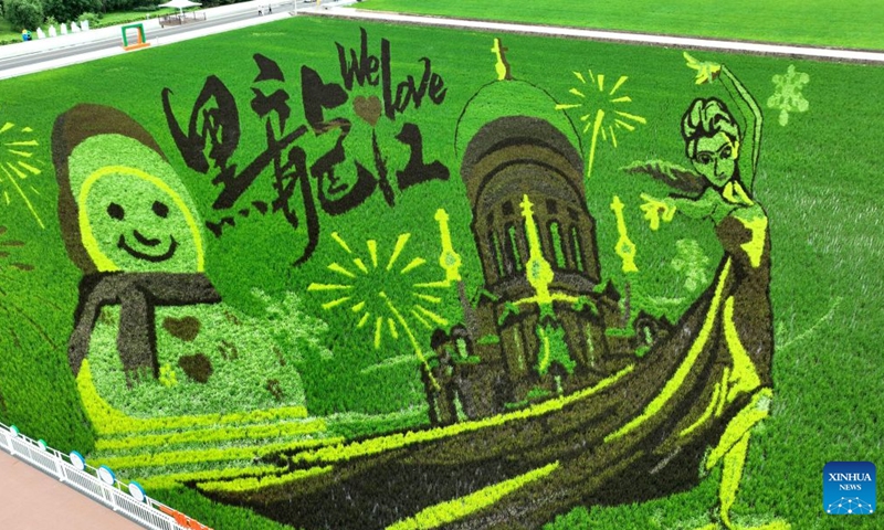 An aerial drone photo taken on July 6, 2026 shows a rice paddy artwork at a farm of Beidahuang Group in northeast China's Heilongjiang Province. In midsummer, creative rice paddy artworks decorated the vast fields of Heilongjiang, a major grain-producing area in China. (Photo: Xinhua)